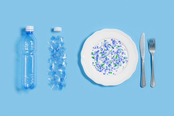 O impacto dos plásticos de uso único na vida humana - microplásticos - microplásticos na cadeia alimentar